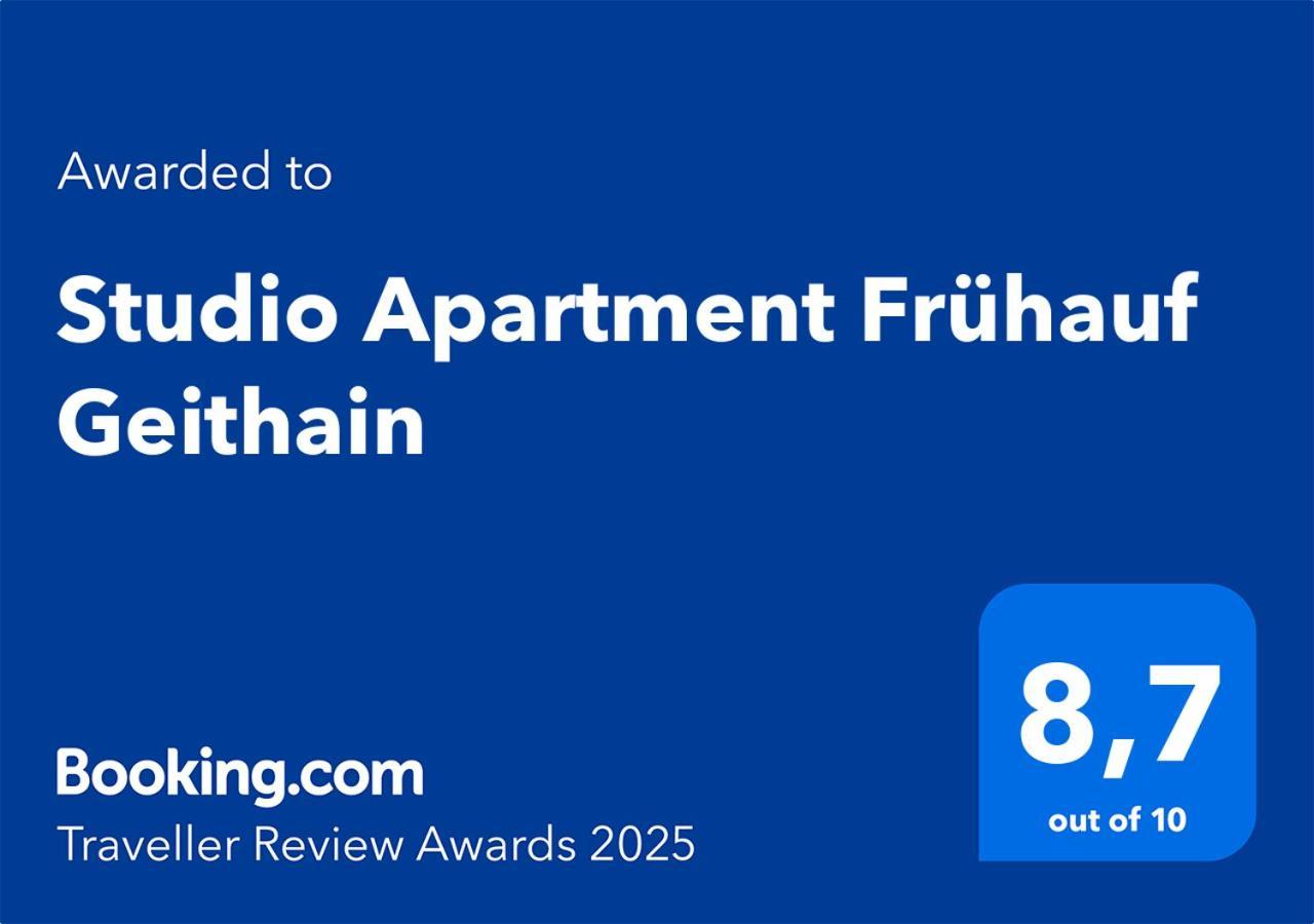 Studio Apartment Fruehauf Geithain Esterno foto